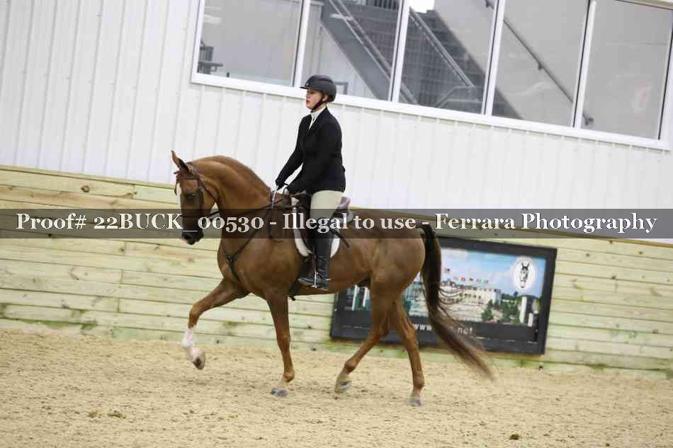 Proof 22BUCK_00530