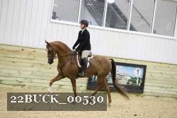 22BUCK_00530 proof