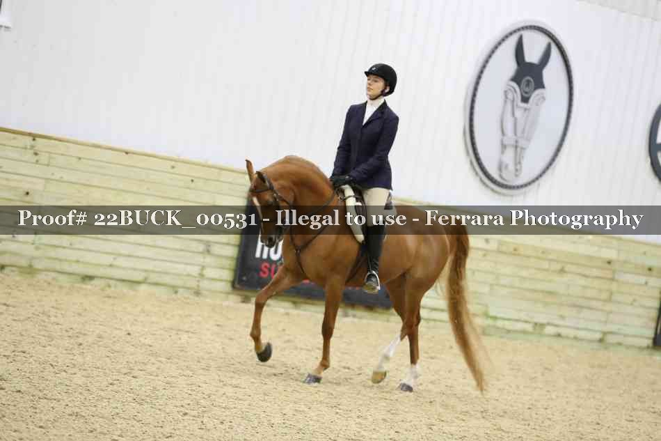 Proof 22BUCK_00531