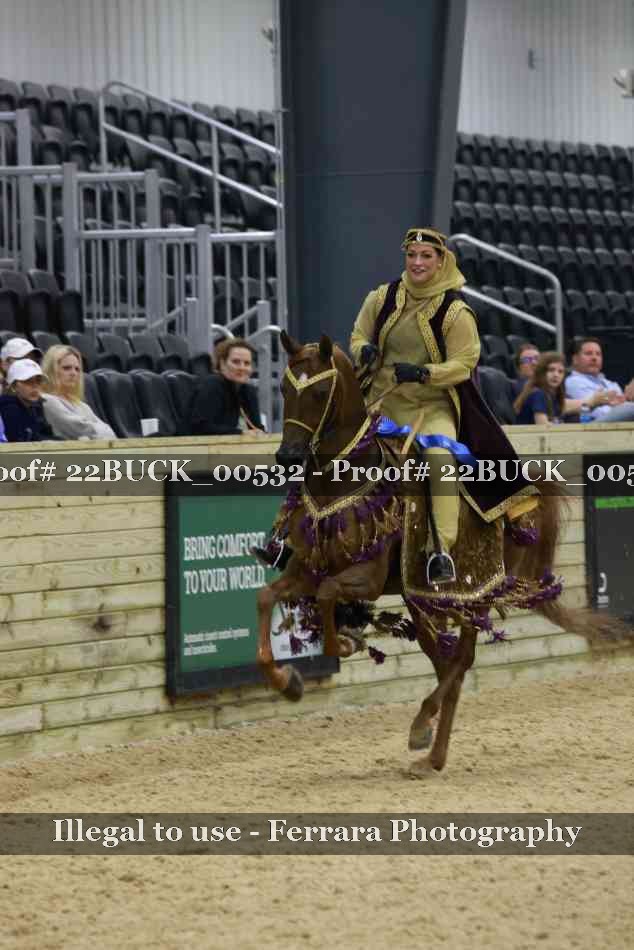 Proof 22BUCK_00532