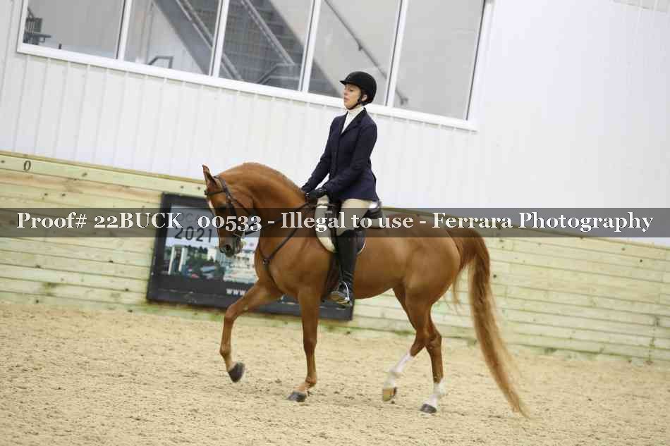Proof 22BUCK_00533