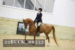 22BUCK_00533 proof