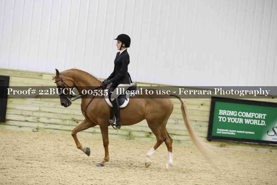 Proof 22BUCK_00535
