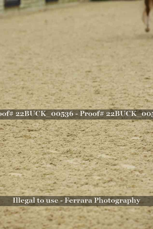 Proof 22BUCK_00536