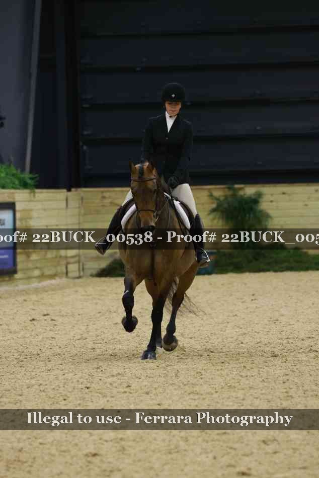 Proof 22BUCK_00538
