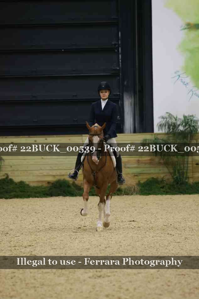 Proof 22BUCK_00539