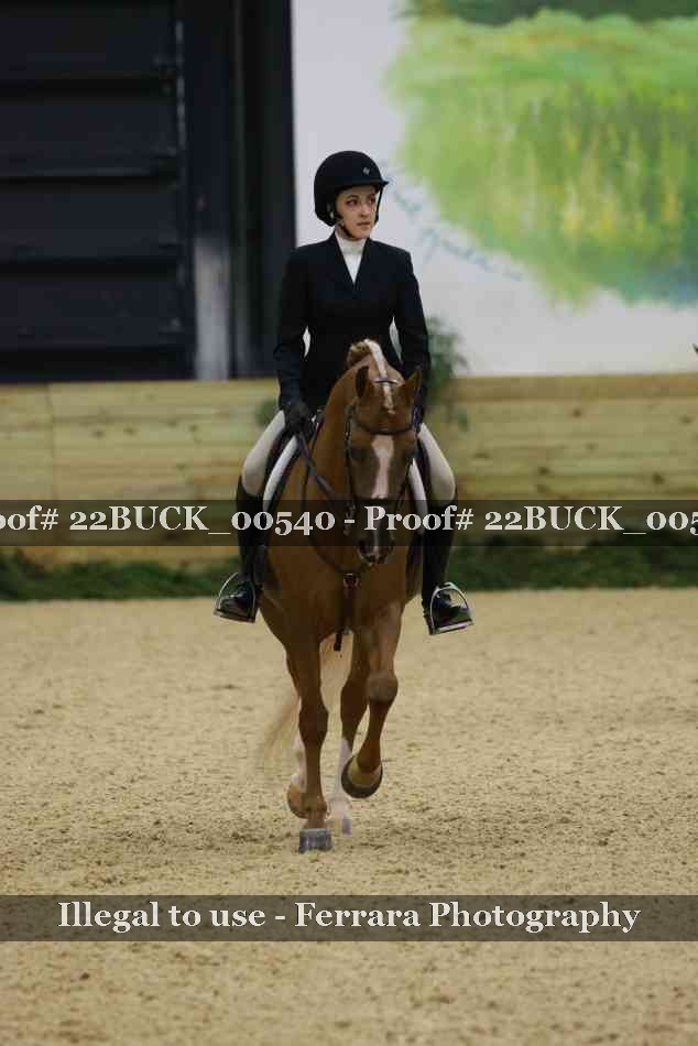 Proof 22BUCK_00540