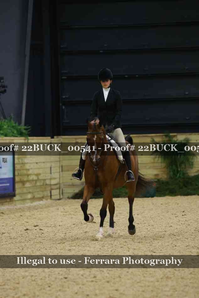 Proof 22BUCK_00541