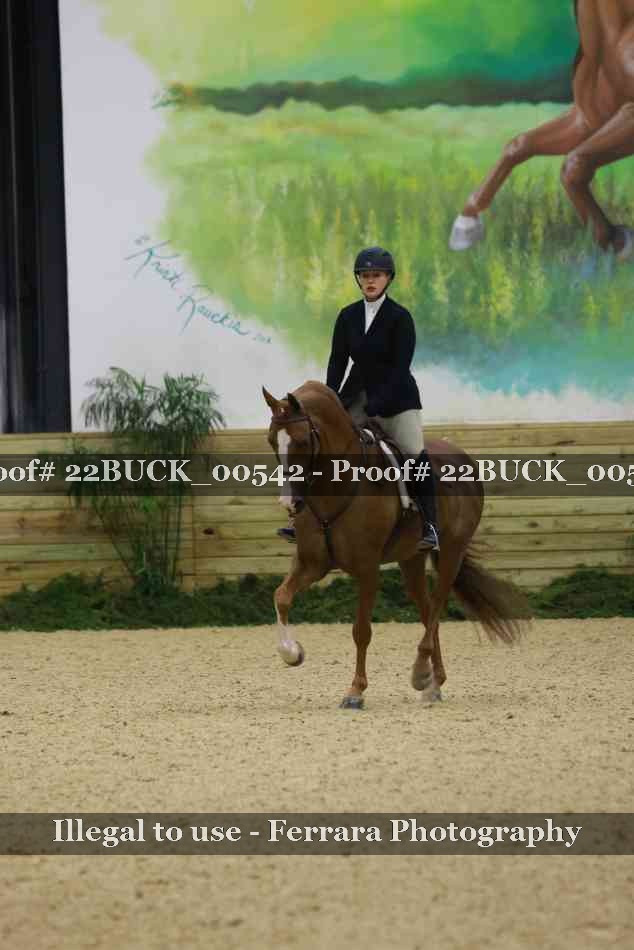 Proof 22BUCK_00542