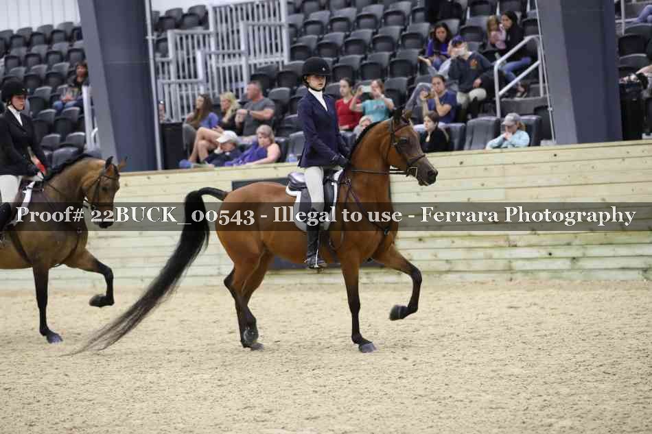 Proof 22BUCK_00543