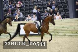 22BUCK_00544 proof