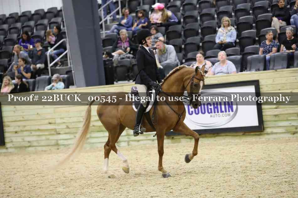 Proof 22BUCK_00545