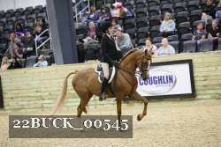 22BUCK_00545 proof