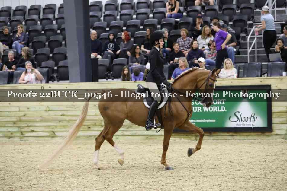 Proof 22BUCK_00546