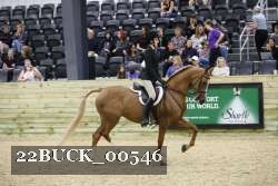 22BUCK_00546 proof