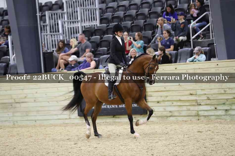 Proof 22BUCK_00547