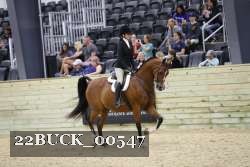 22BUCK_00547 proof