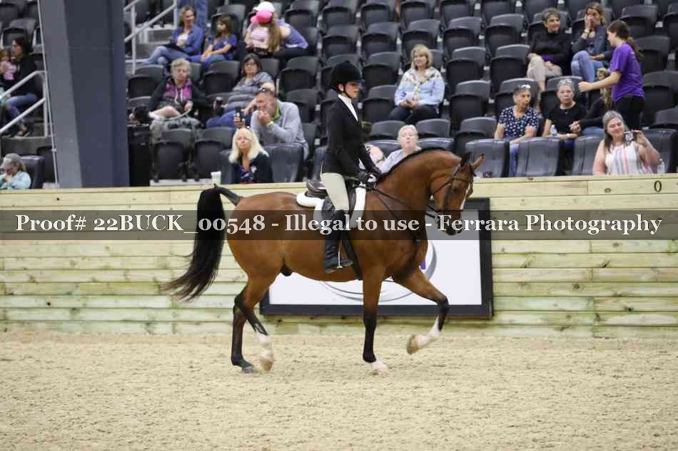 Proof 22BUCK_00548