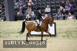 22BUCK_00548 proof