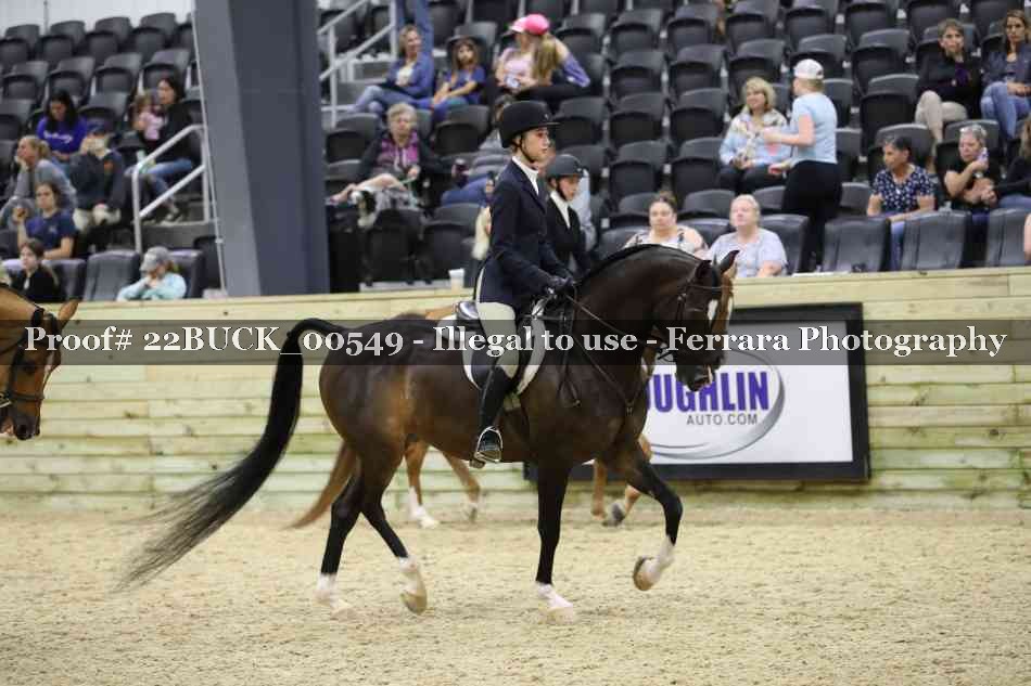 Proof 22BUCK_00549