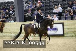 22BUCK_00549 proof