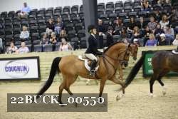 22BUCK_00550 proof