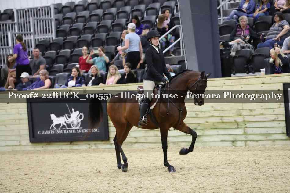 Proof 22BUCK_00551