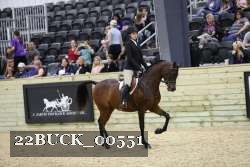 22BUCK_00551 proof