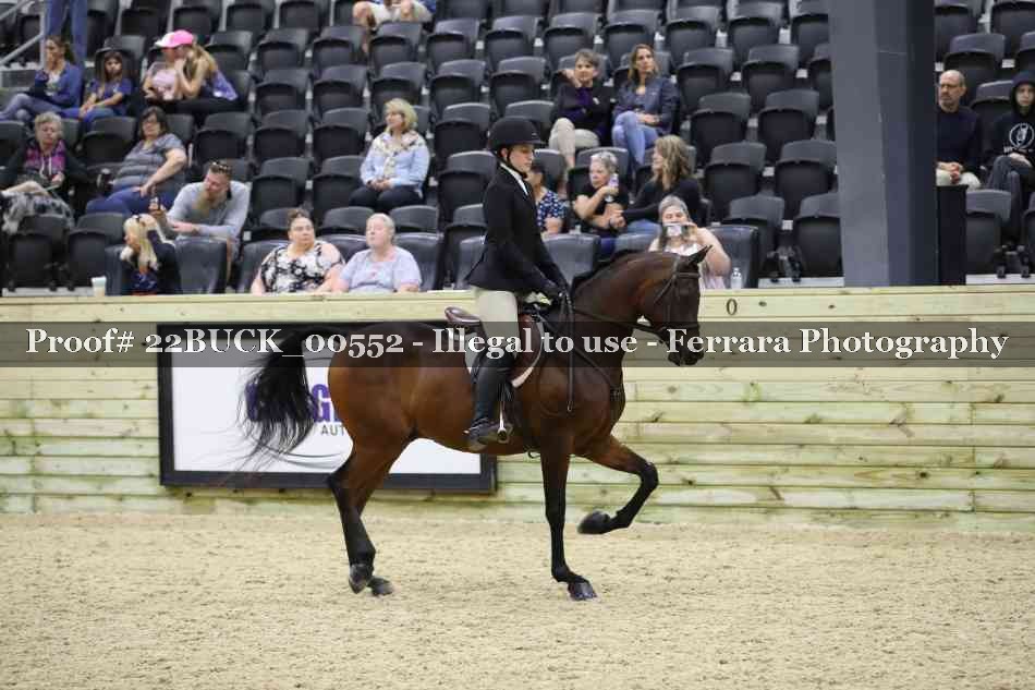 Proof 22BUCK_00552