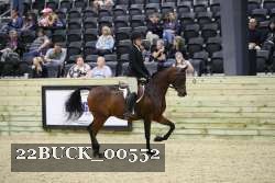 22BUCK_00552 proof