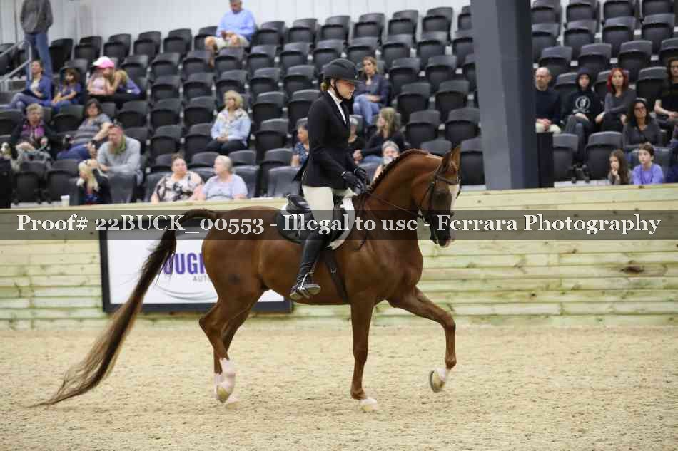 Proof 22BUCK_00553