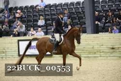 22BUCK_00553 proof
