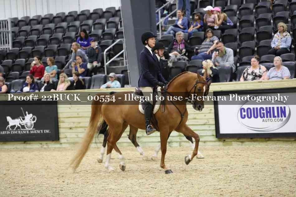 Proof 22BUCK_00554