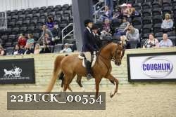 22BUCK_00554 proof