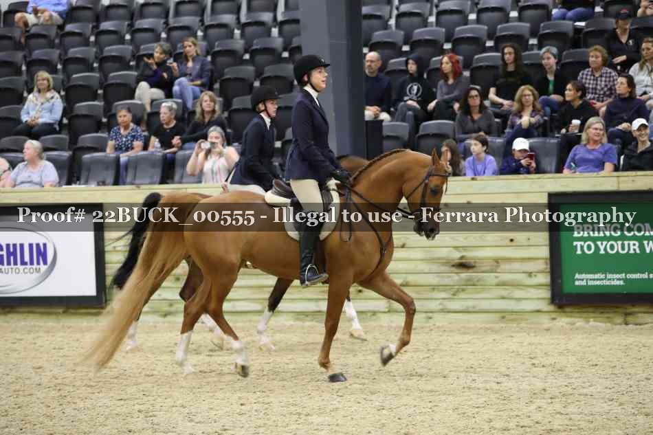Proof 22BUCK_00555
