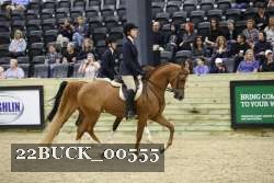 22BUCK_00555 proof