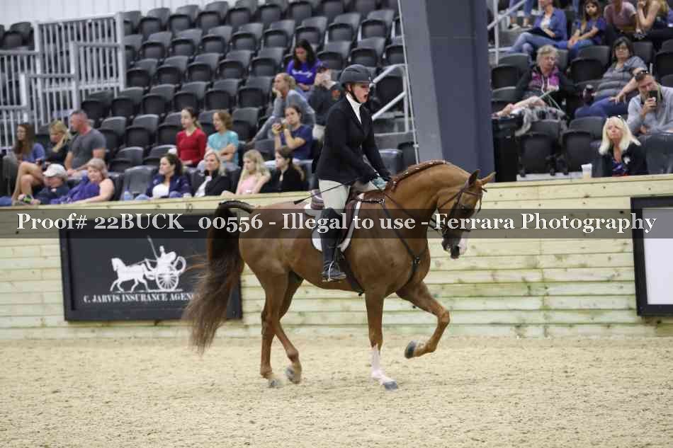Proof 22BUCK_00556