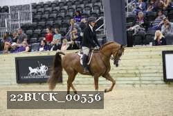 22BUCK_00556 proof