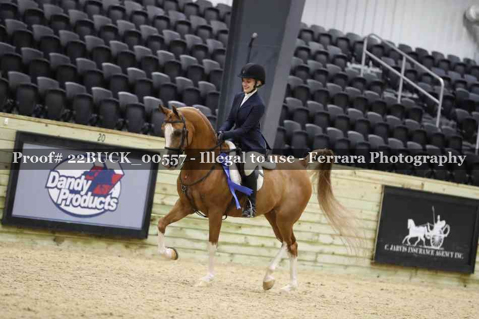 Proof 22BUCK_00557