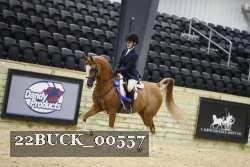 22BUCK_00557 proof