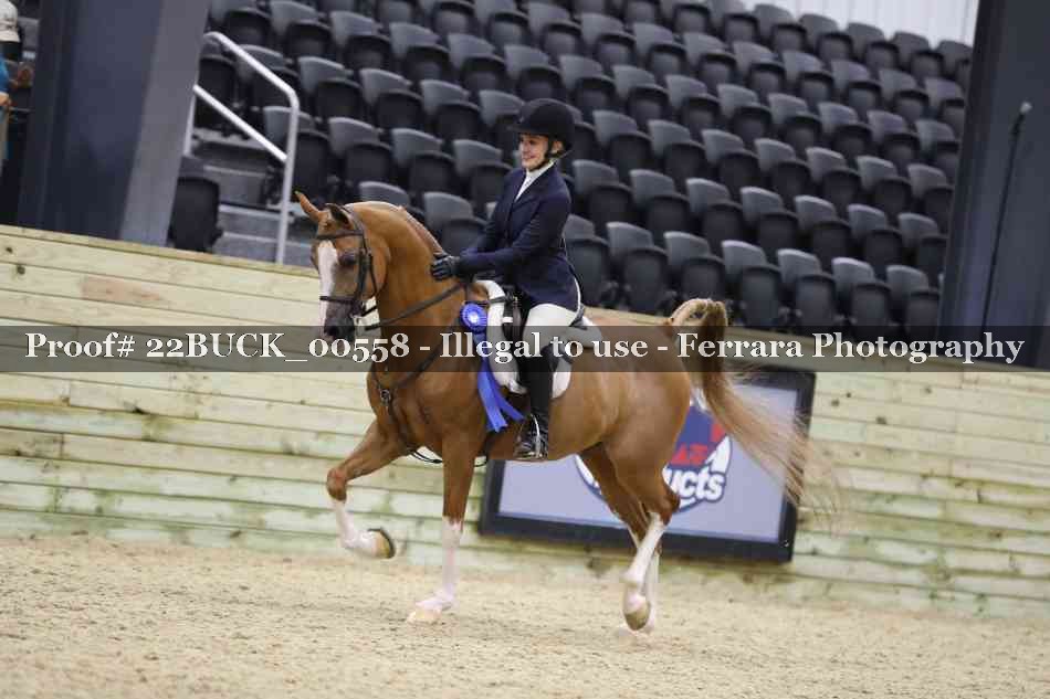 Proof 22BUCK_00558