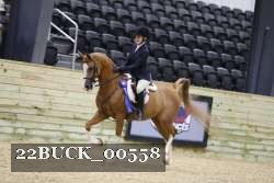 22BUCK_00558 proof