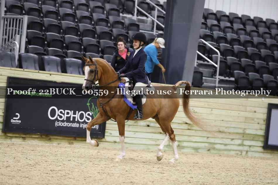 Proof 22BUCK_00559