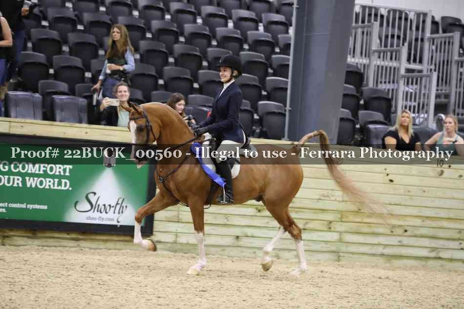 Proof 22BUCK_00560