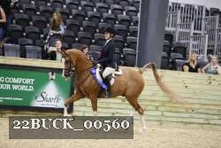 22BUCK_00560 proof