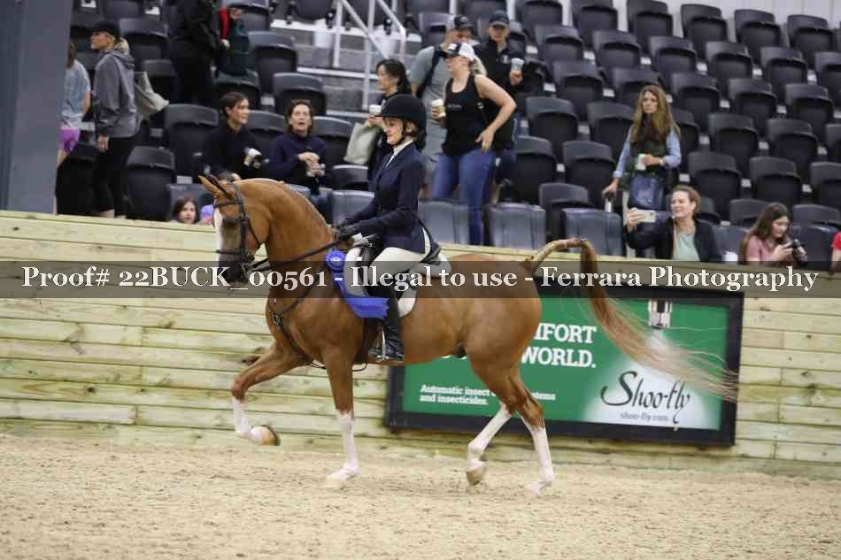 Proof 22BUCK_00561