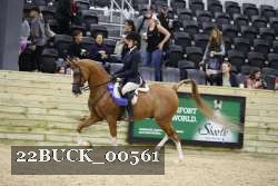 22BUCK_00561 proof