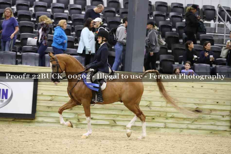 Proof 22BUCK_00562