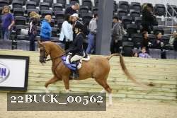 22BUCK_00562 proof