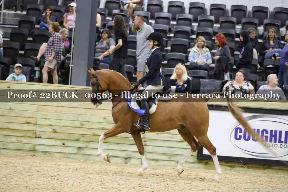 Proof 22BUCK_00563